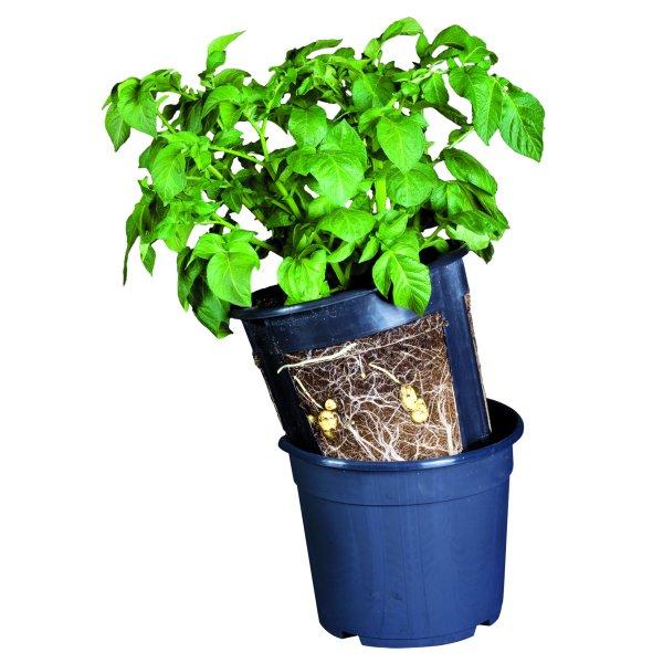 Art. nr. 47510 Potato Pot